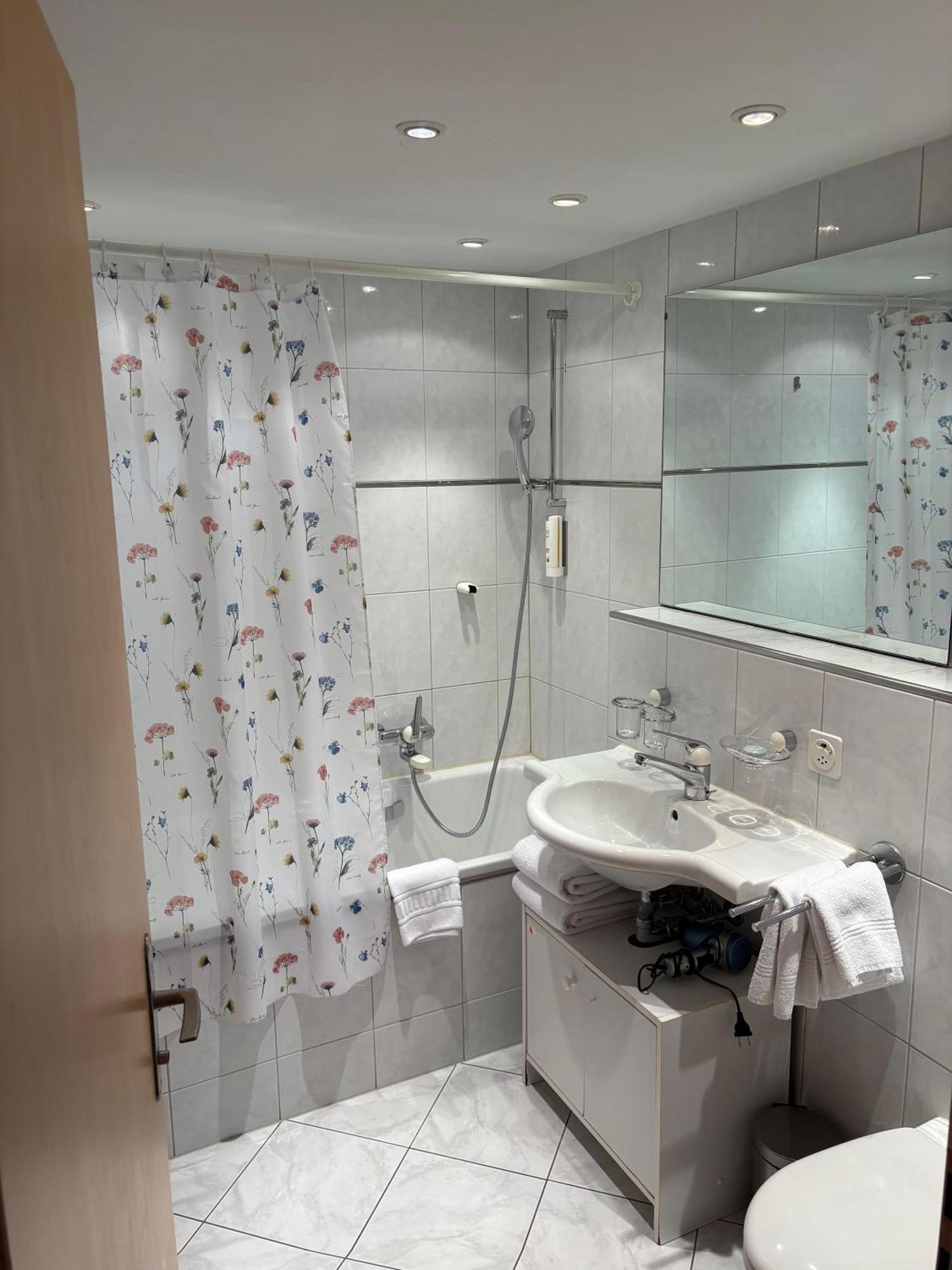 Chalet Annelis Apartments Ζερμάτ Εξωτερικό φωτογραφία